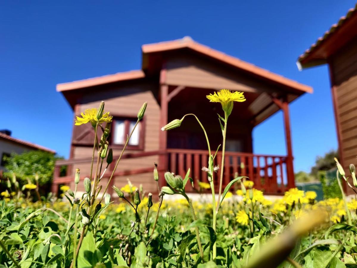 Camping Bungalow Serra De Prades Resort Vilanova de Prades Bagian luar foto